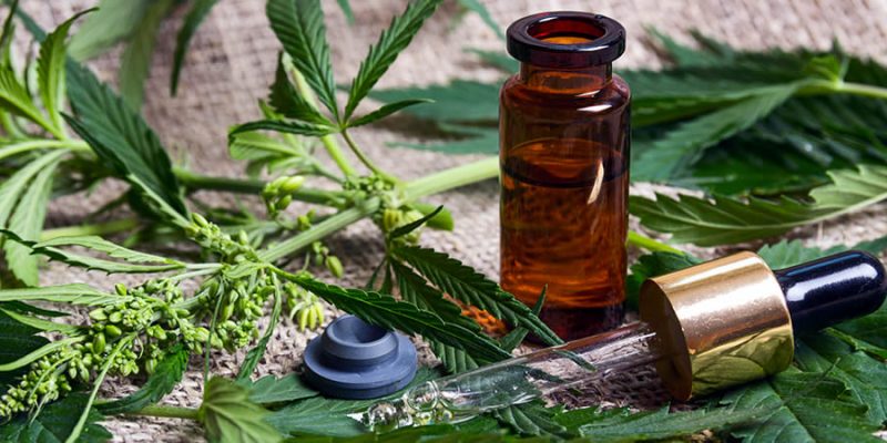 CBD Oil – What to Know