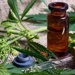 CBD Oil – What to Know