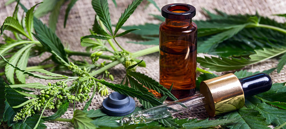 CBD Oil – What to Know