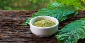 Unlocking Nature’s Treasures: The Benefits of Kratom Powder Revealed